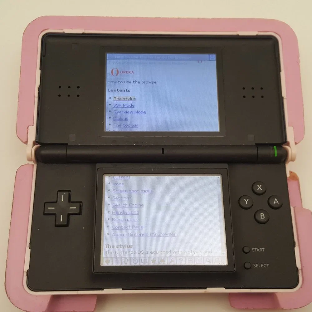Nintendo ds browser