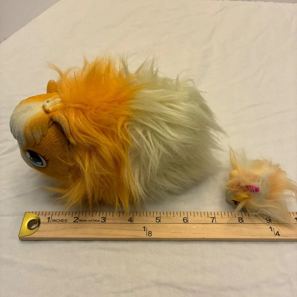 Moose animal guinea