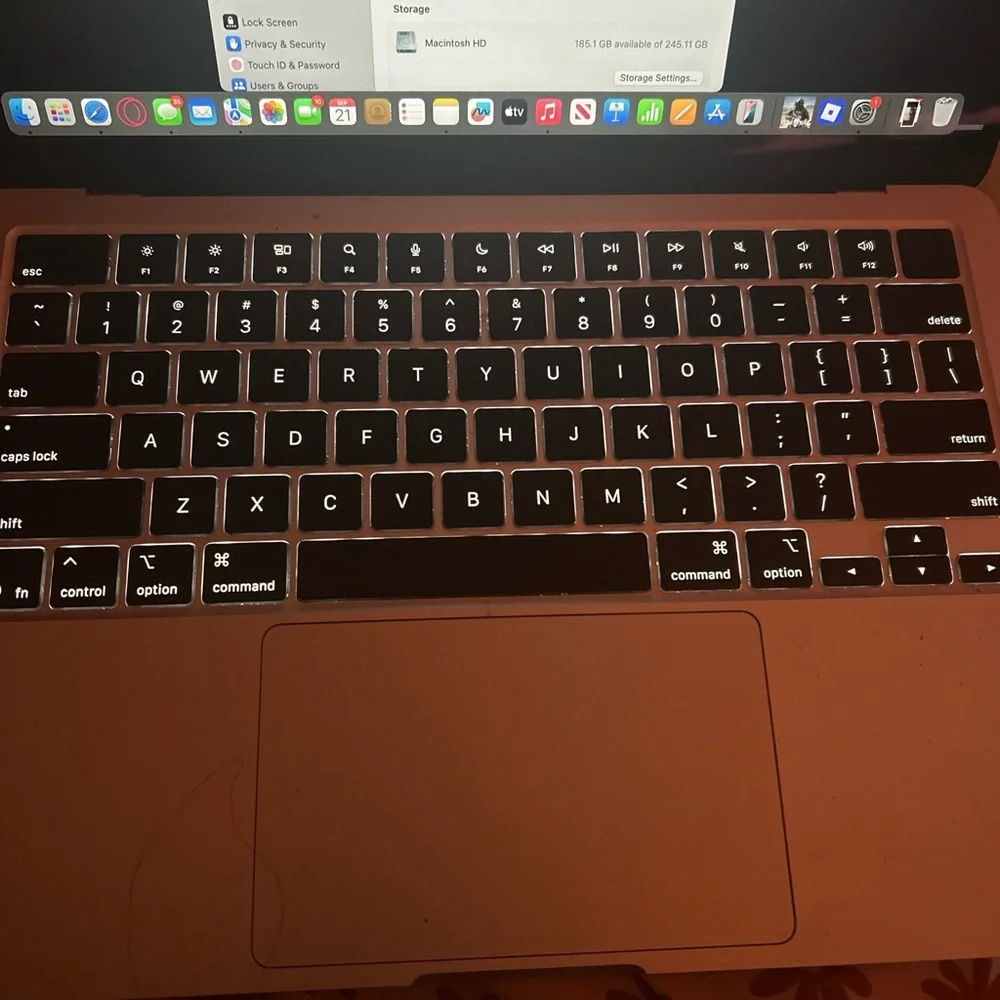 Apple elegant macbook