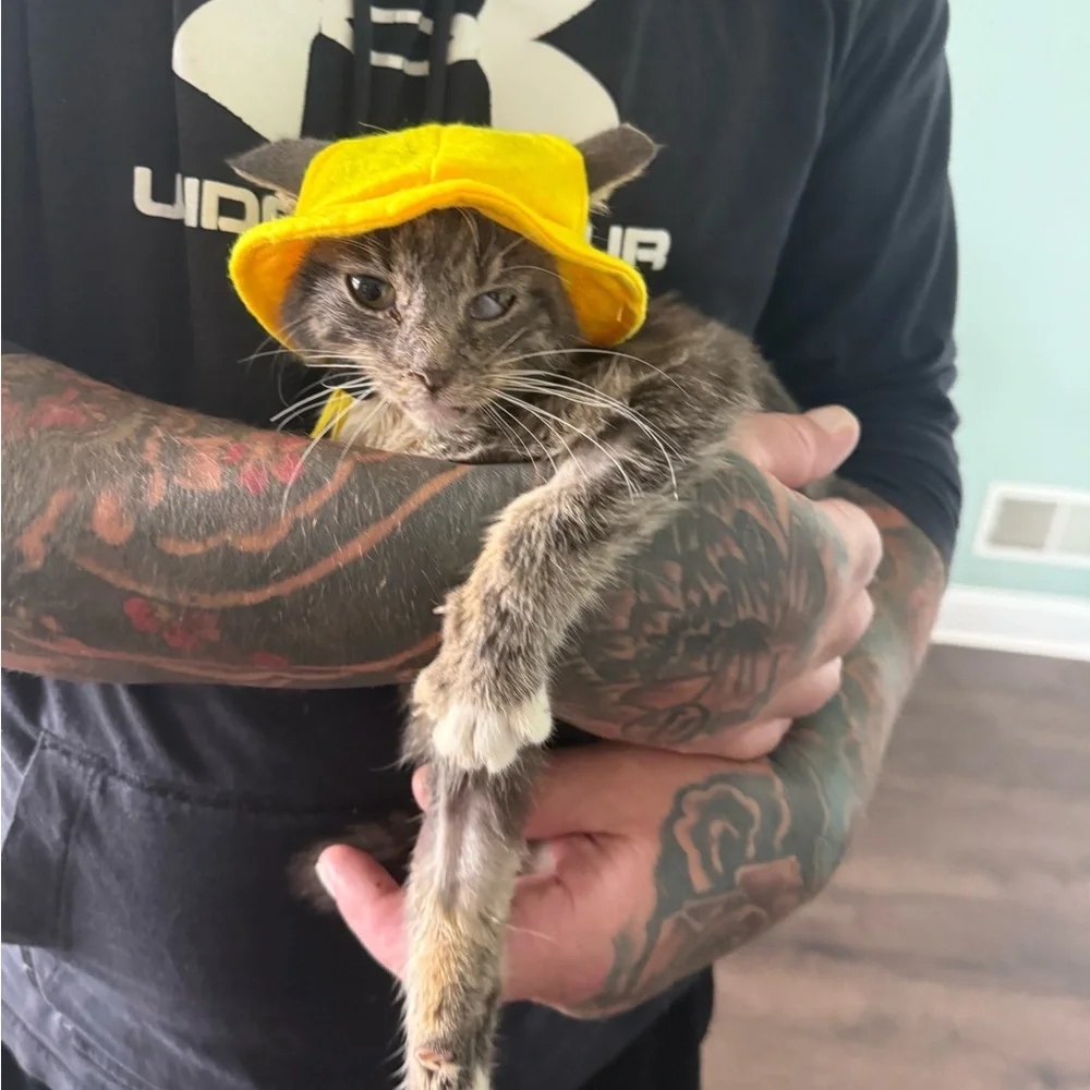 Yellow Cat Hat