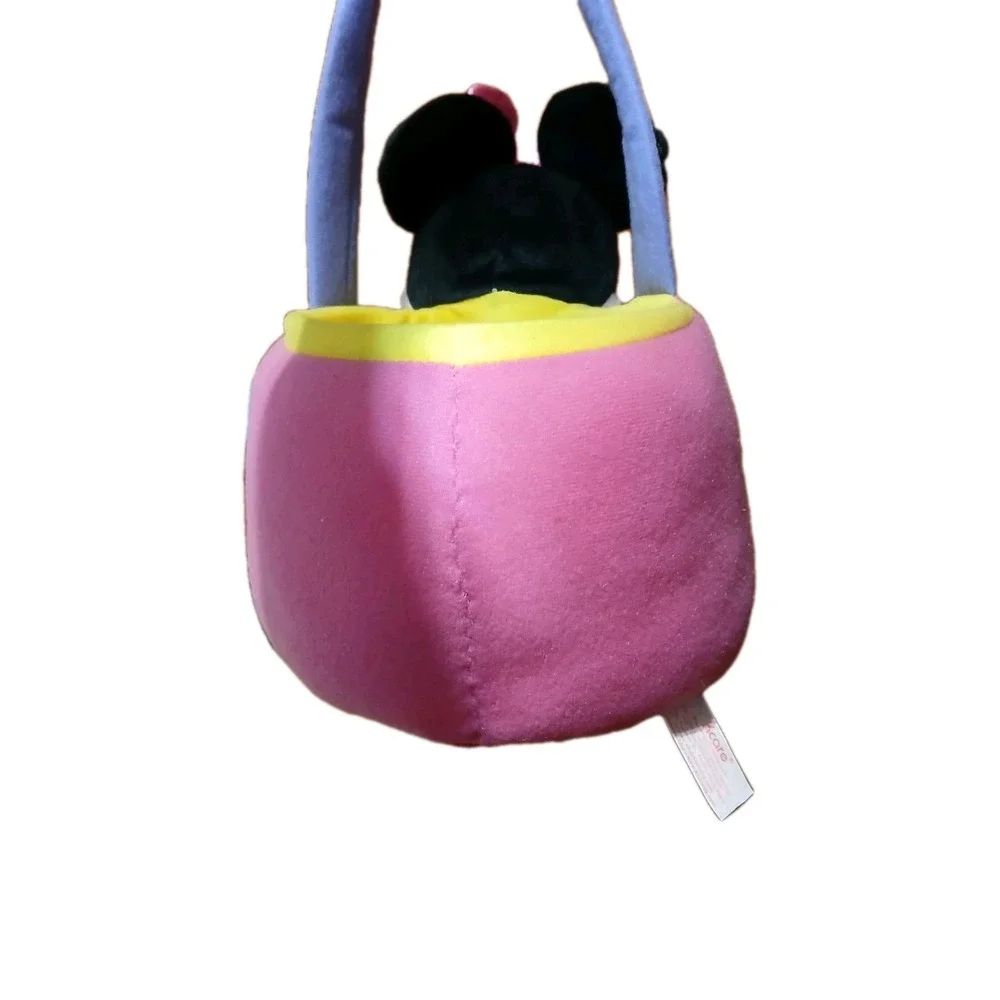 Disney basket from minnie