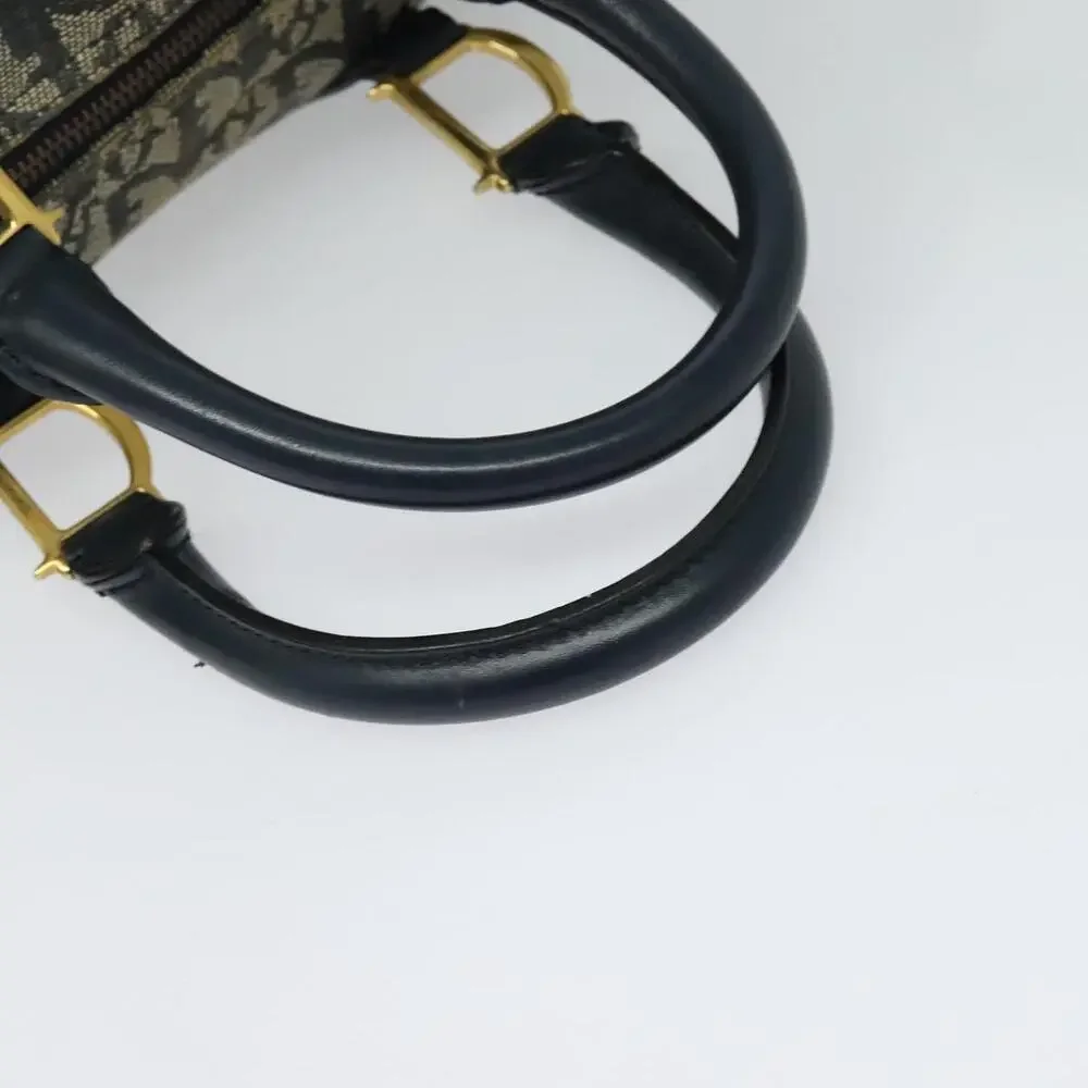Dior trotter canvas