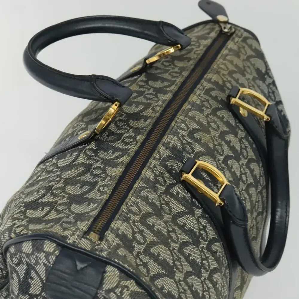 Dior trotter canvas