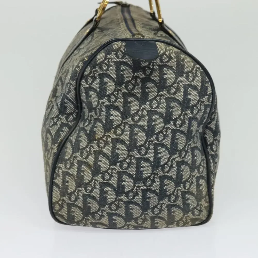Dior trotter canvas
