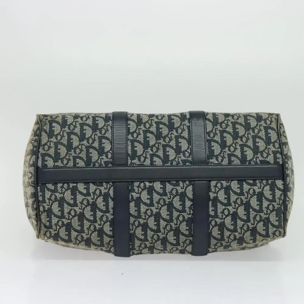 Dior trotter canvas