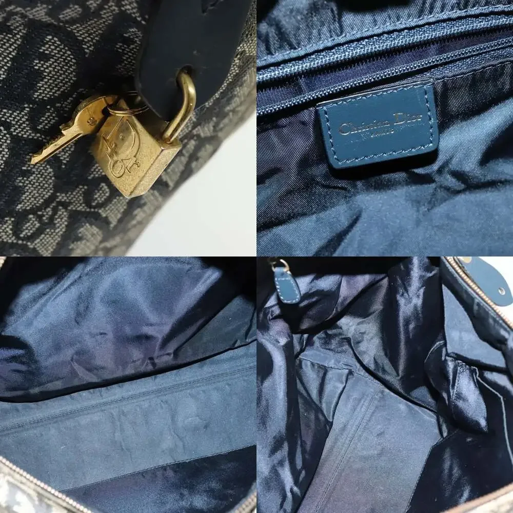 Dior trotter canvas