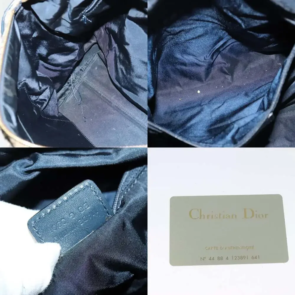 Dior trotter canvas