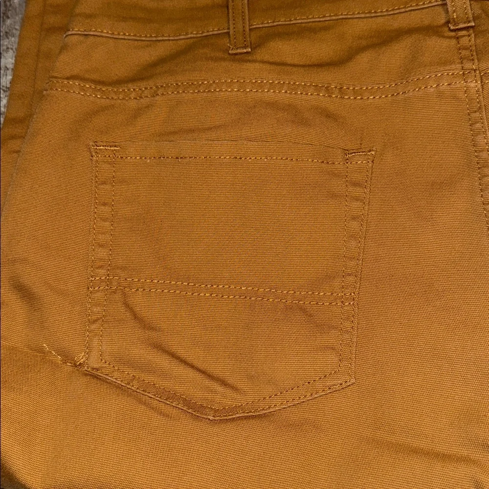 Dickies durable tan