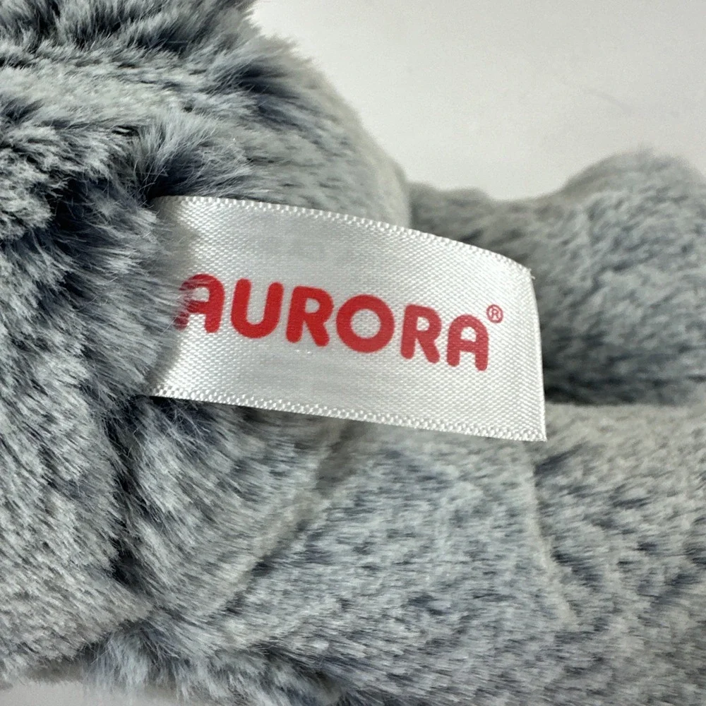 Aurora experience joy