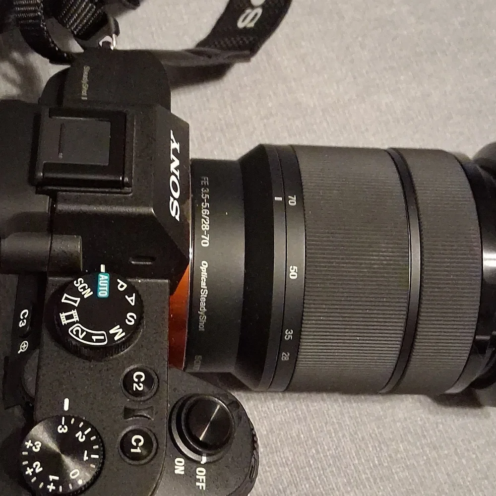 Sony capture stunning