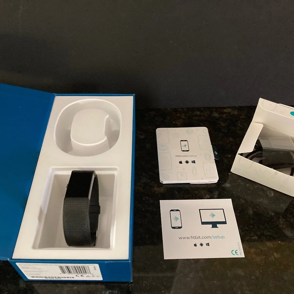 Fitbit stainless steel