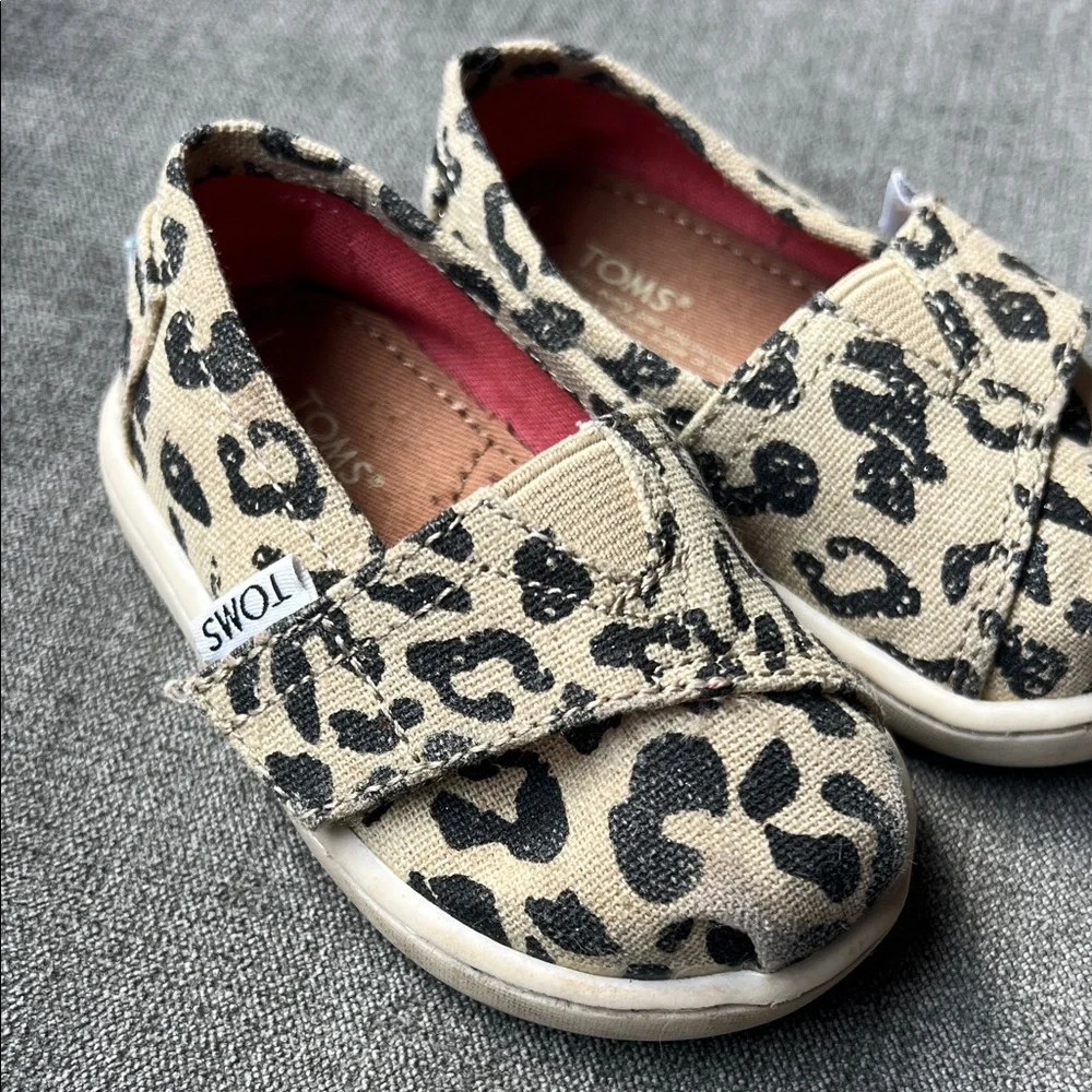 Toms great used