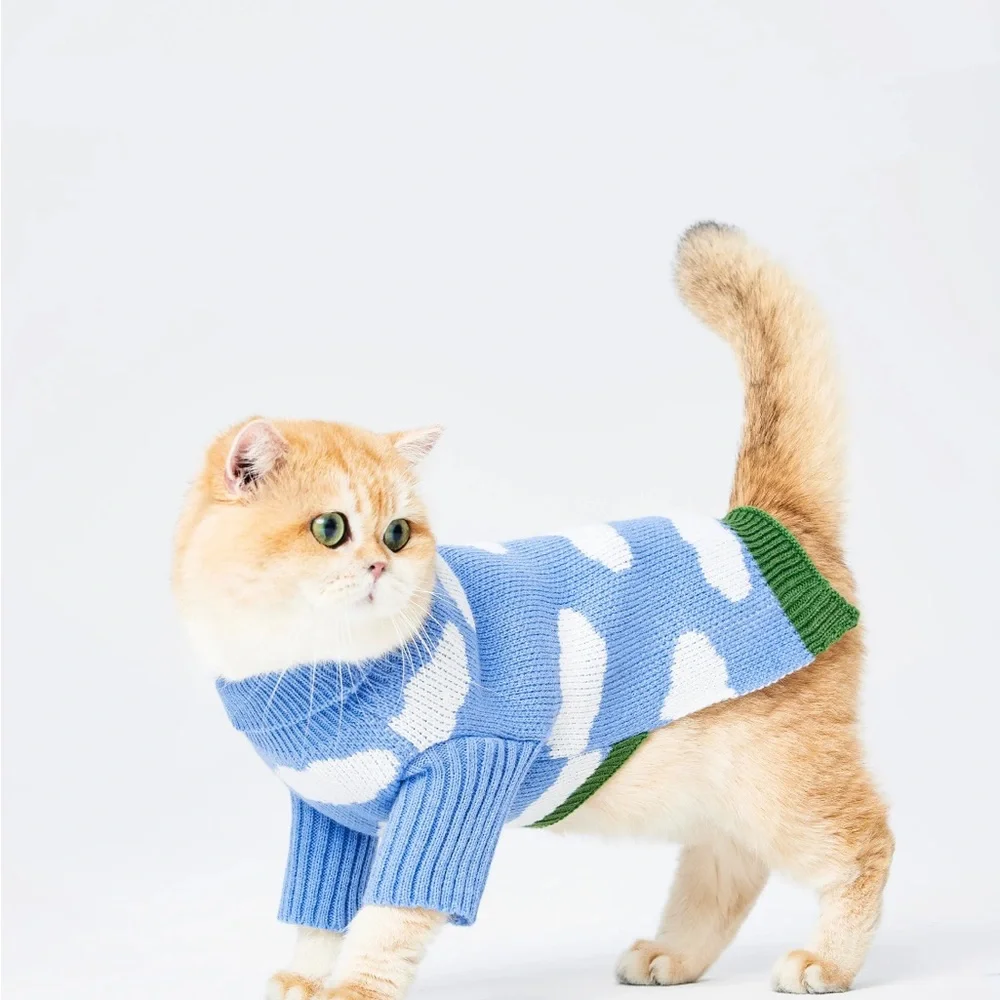 Cider stylish sweater