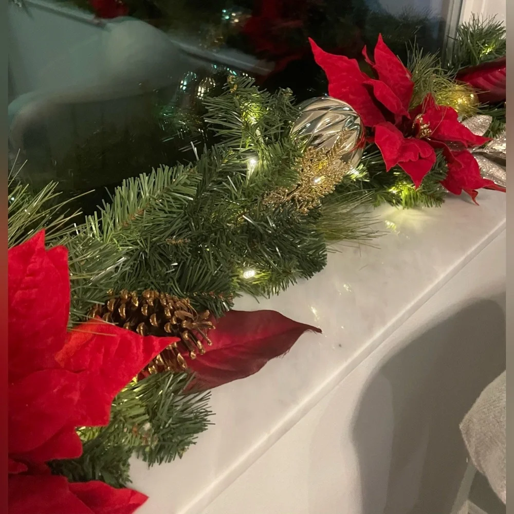Pier 1 pier poinsettia