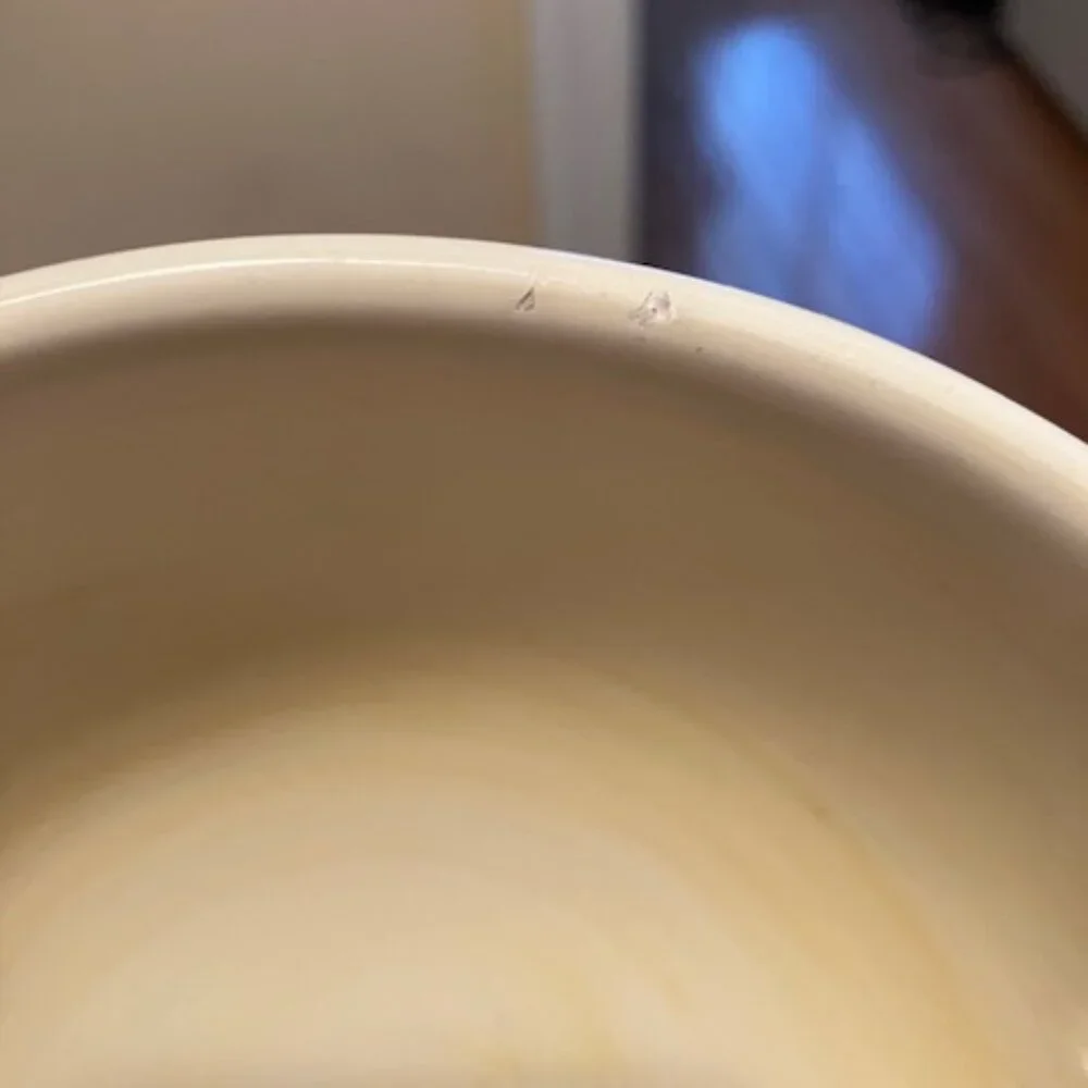 Williams Sonoma beautiful bowl