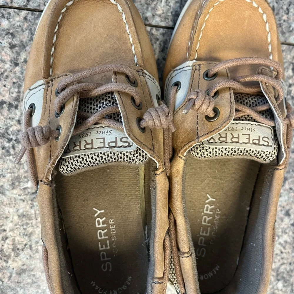 Sperry shoresider jr