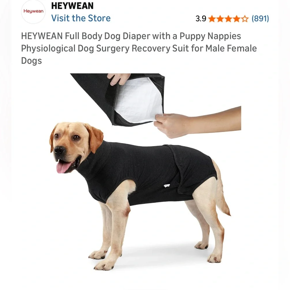 NWT✨ Dog Diaper