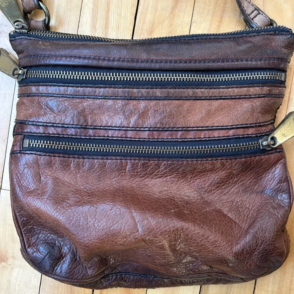 Fossil elegant messenger