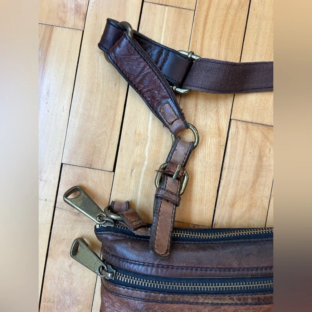 Fossil elegant messenger