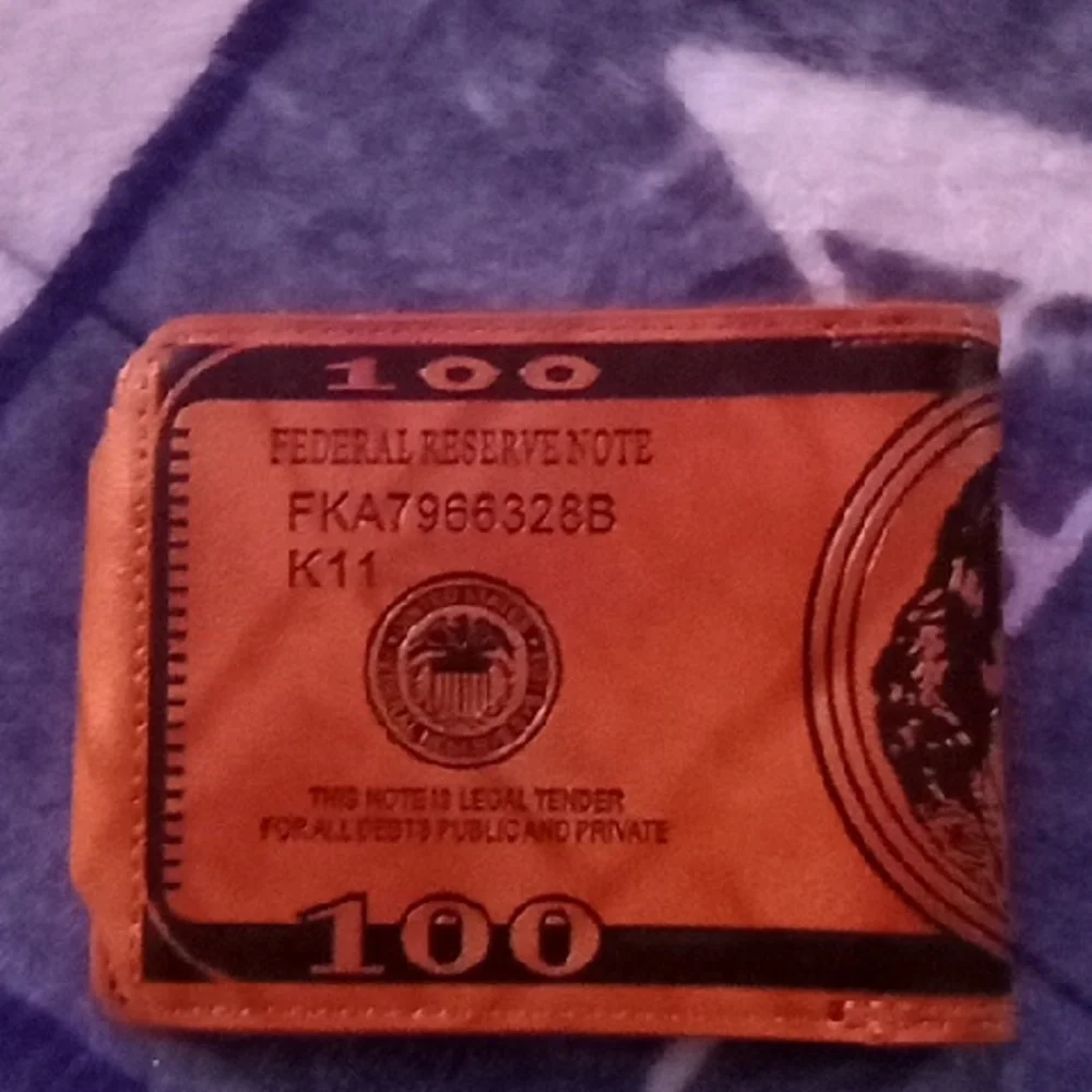 Unique Dollar Print Men's Money Clip