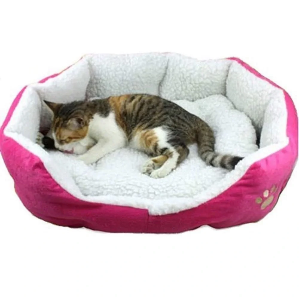 None dog bed