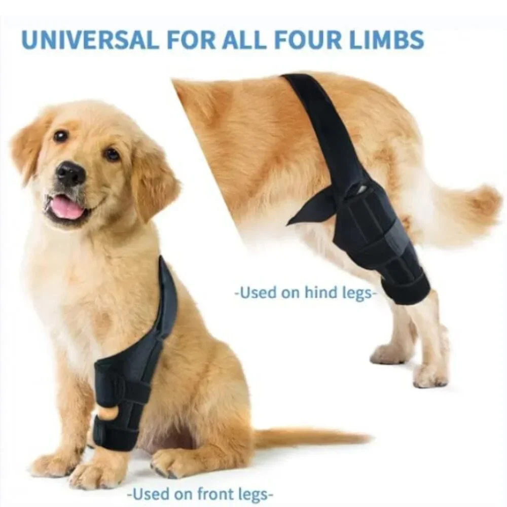 Pawfun dog knee
