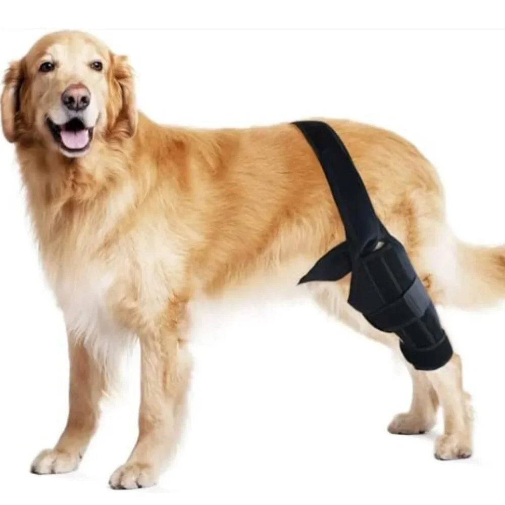 PAWFUN Dog Knee Brace for Torn ACL Adjustable Leg Support for Hip Dysplasia