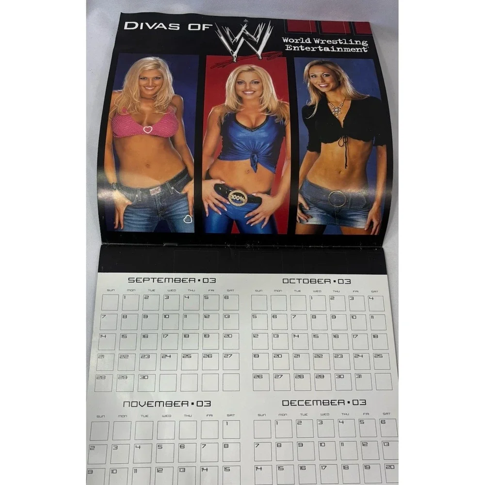 16 Month 2004 Wall Calendar Divas of World Wrestling Entertainment WCW