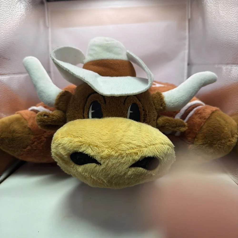 N/A texas longhorns