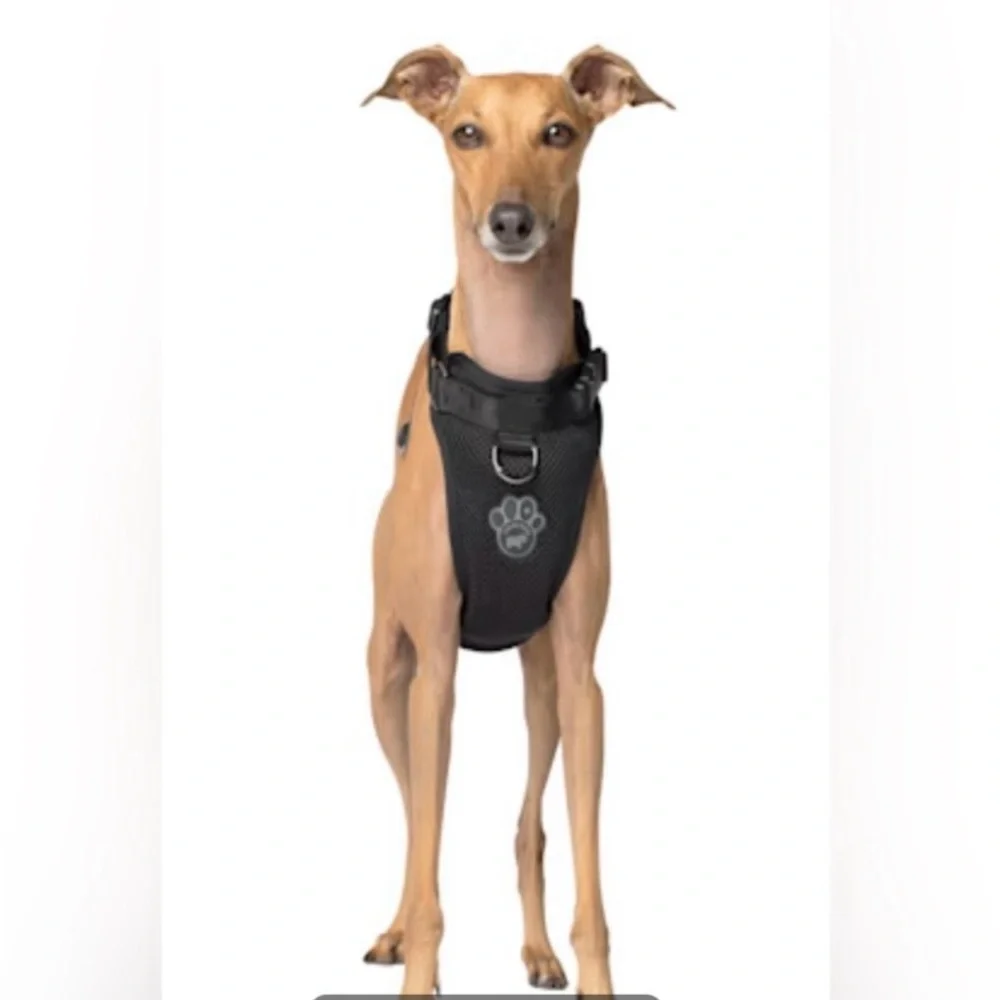 Canada Pooch Everything Dog Harness