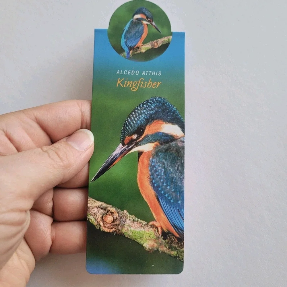 that company called if cardmarks kingfisher