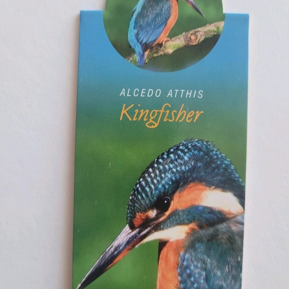 that company called if cardmarks kingfisher