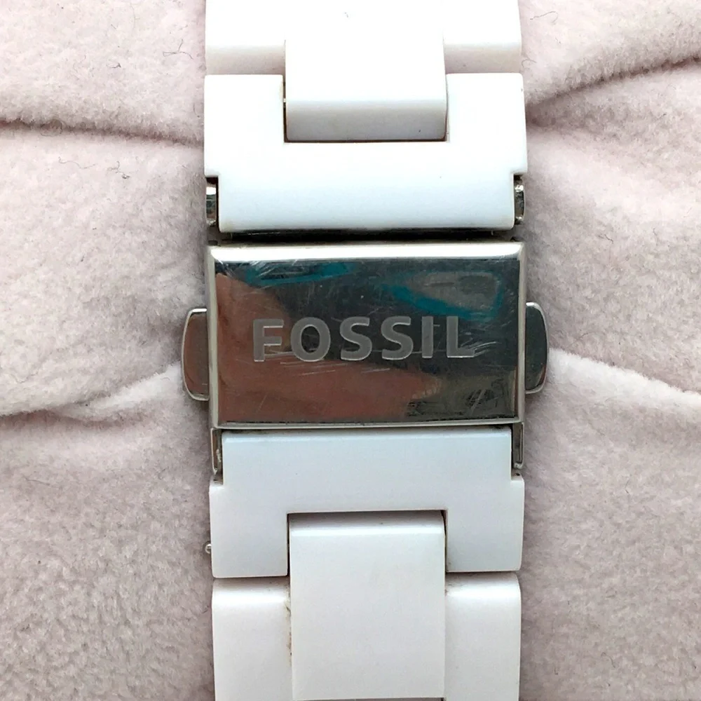 Fossil elegant stella