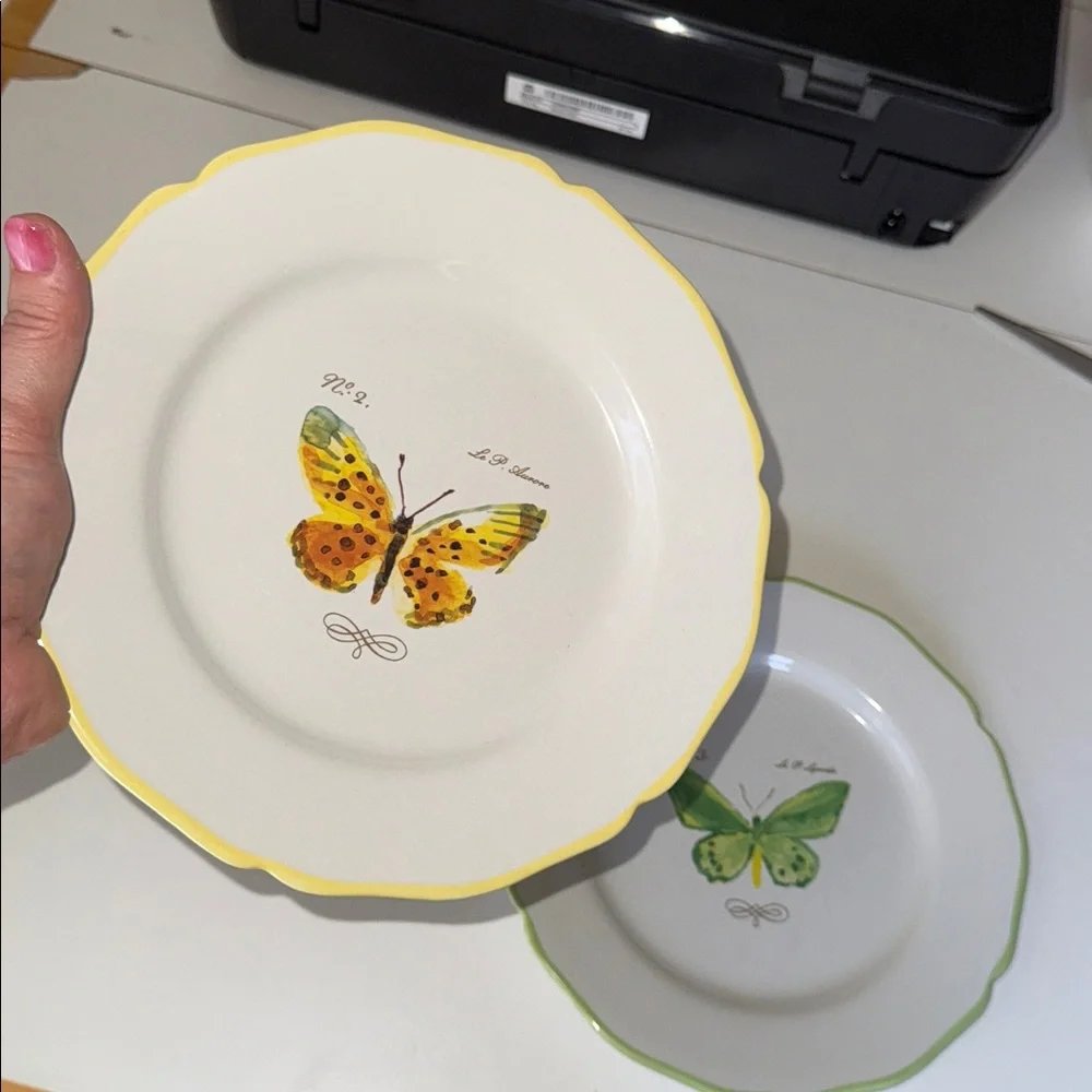 Williams Sonoma these plates