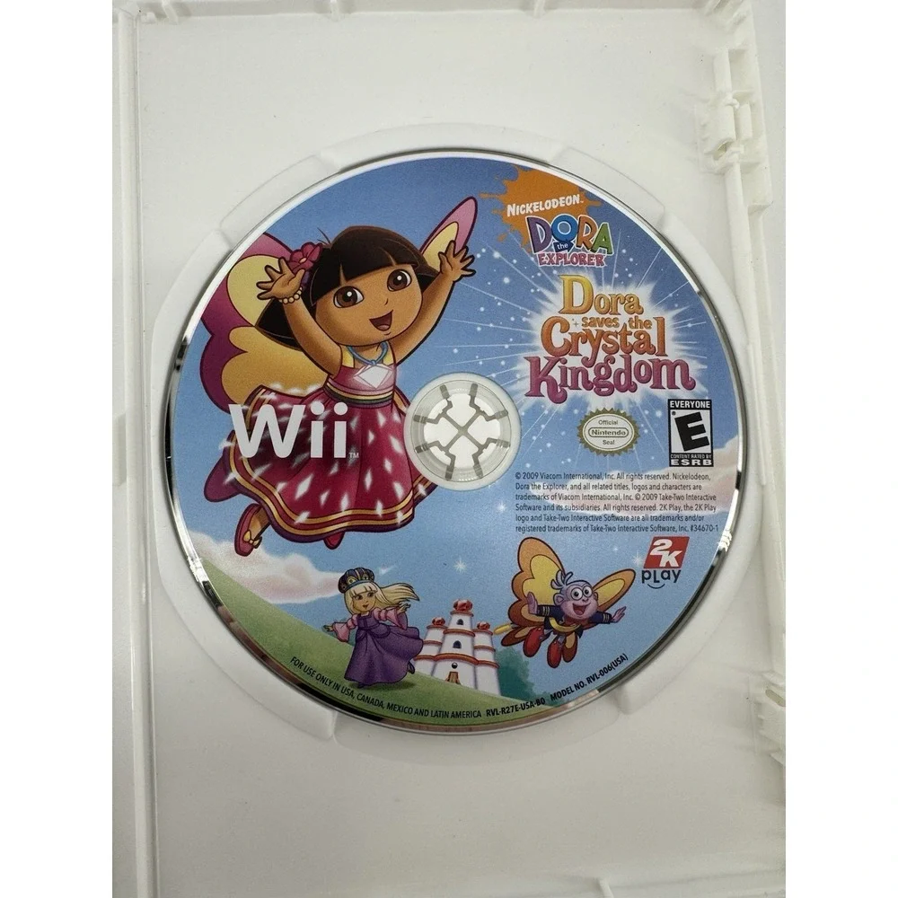 Nintendo description this