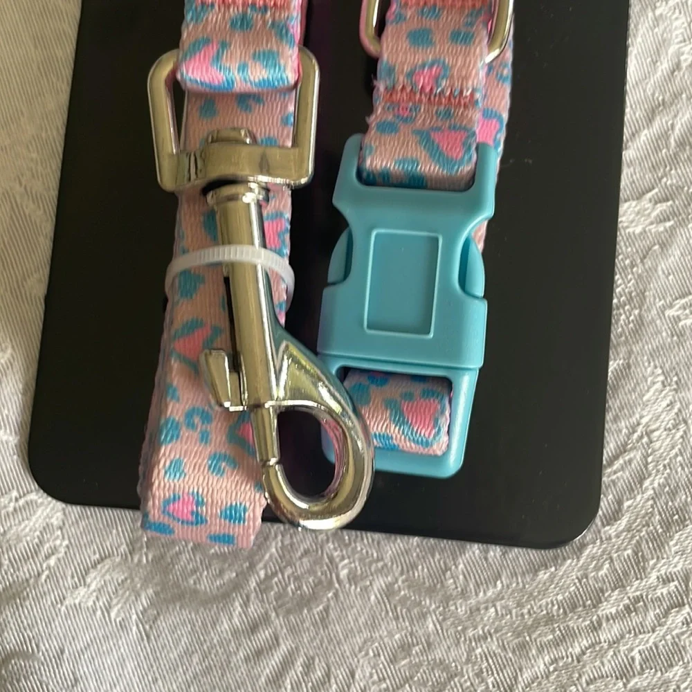 Tahari matching leash and collar set
