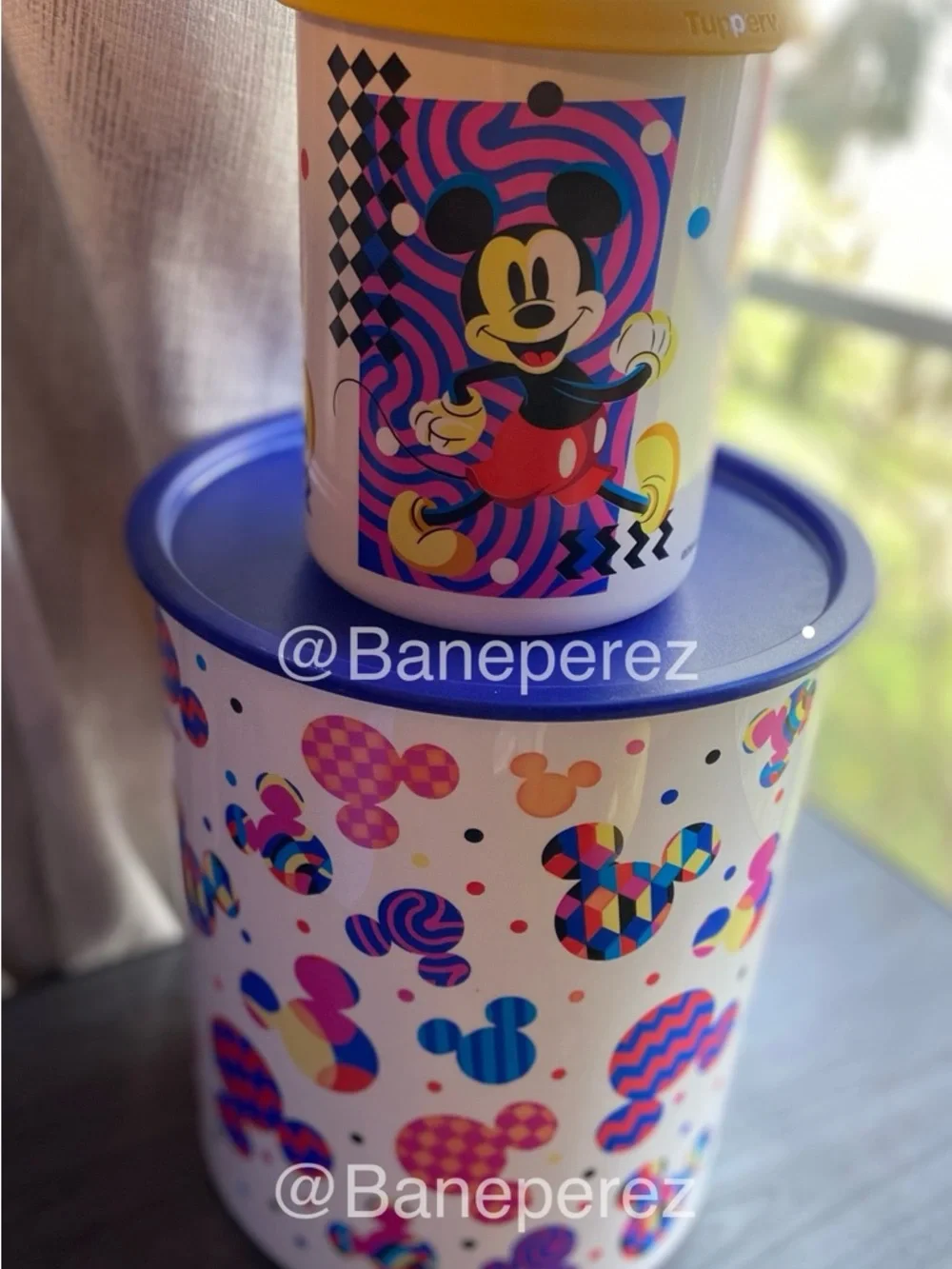 Tupperware or mickey