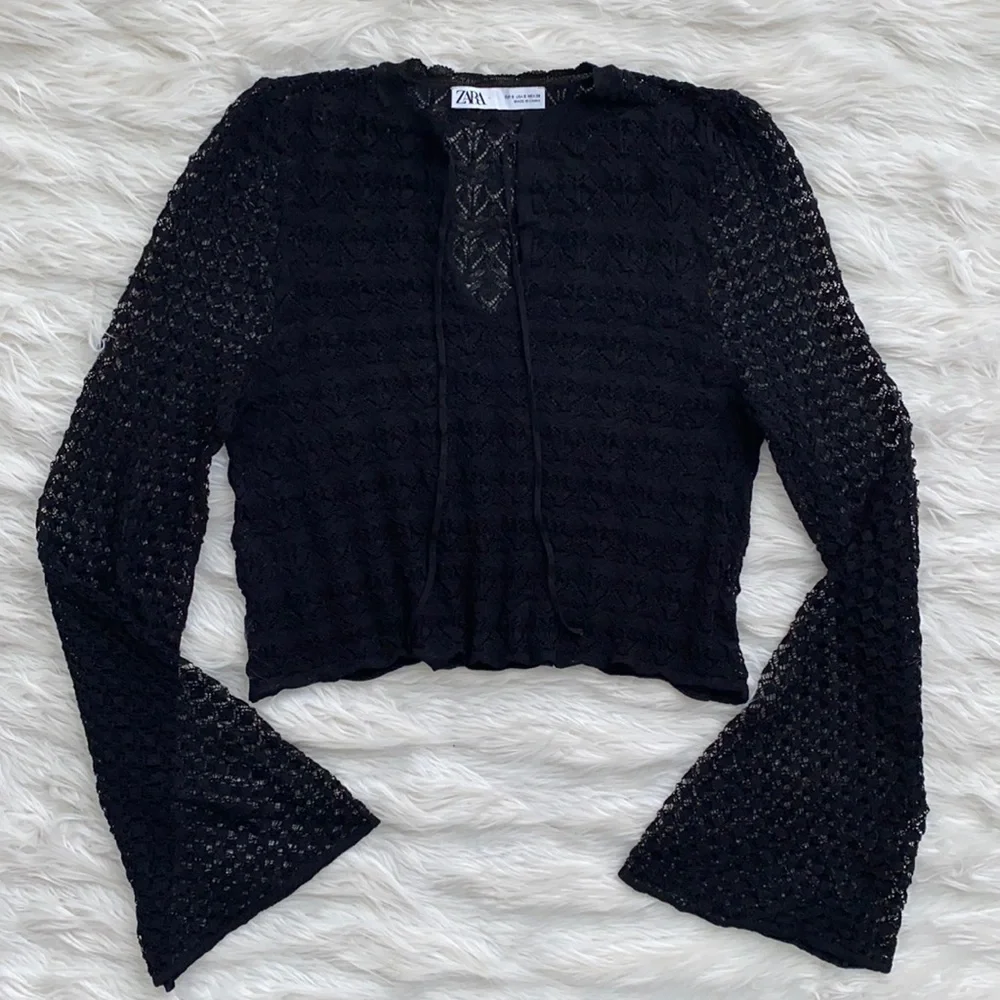 Zara | Sheer Knit Long Sleeve