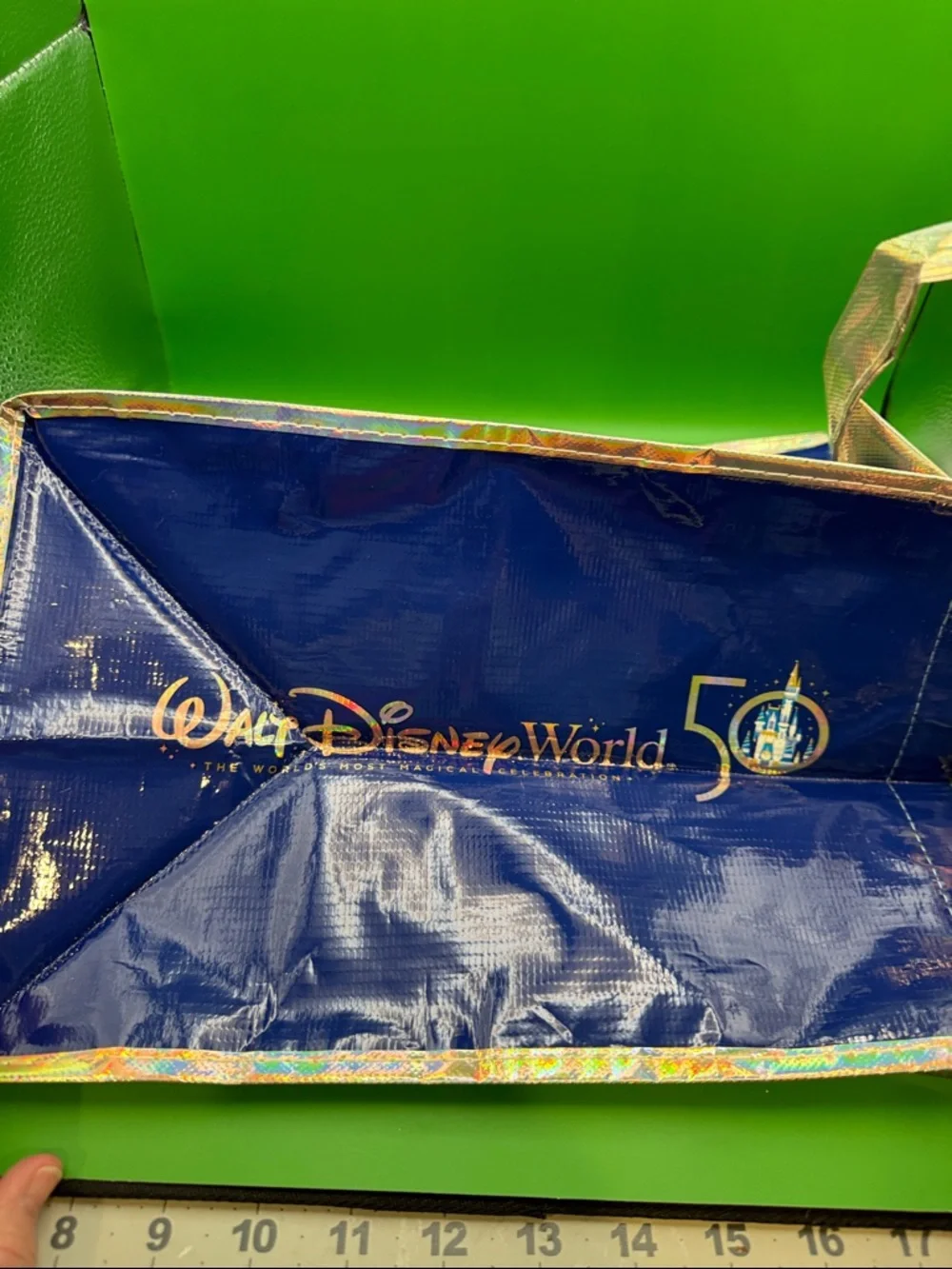 Disney festive 8” 12”