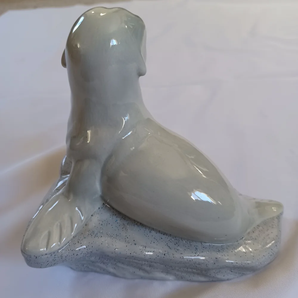 None harp seal