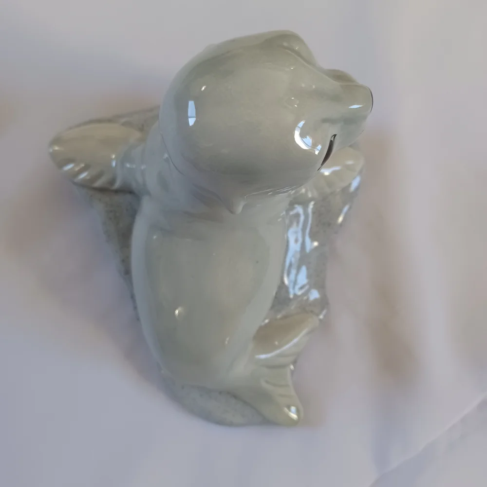 None harp seal