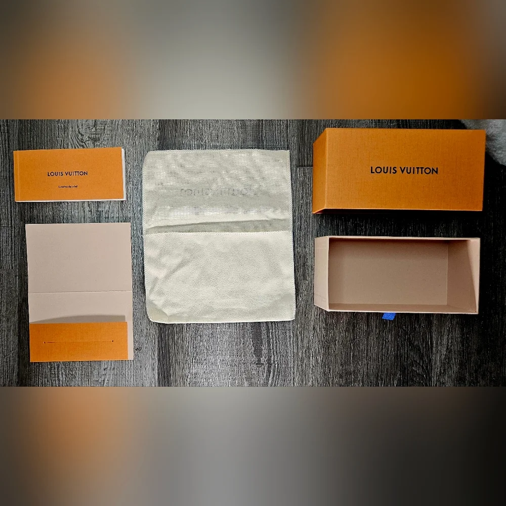 Louis Vuitton authentic louis