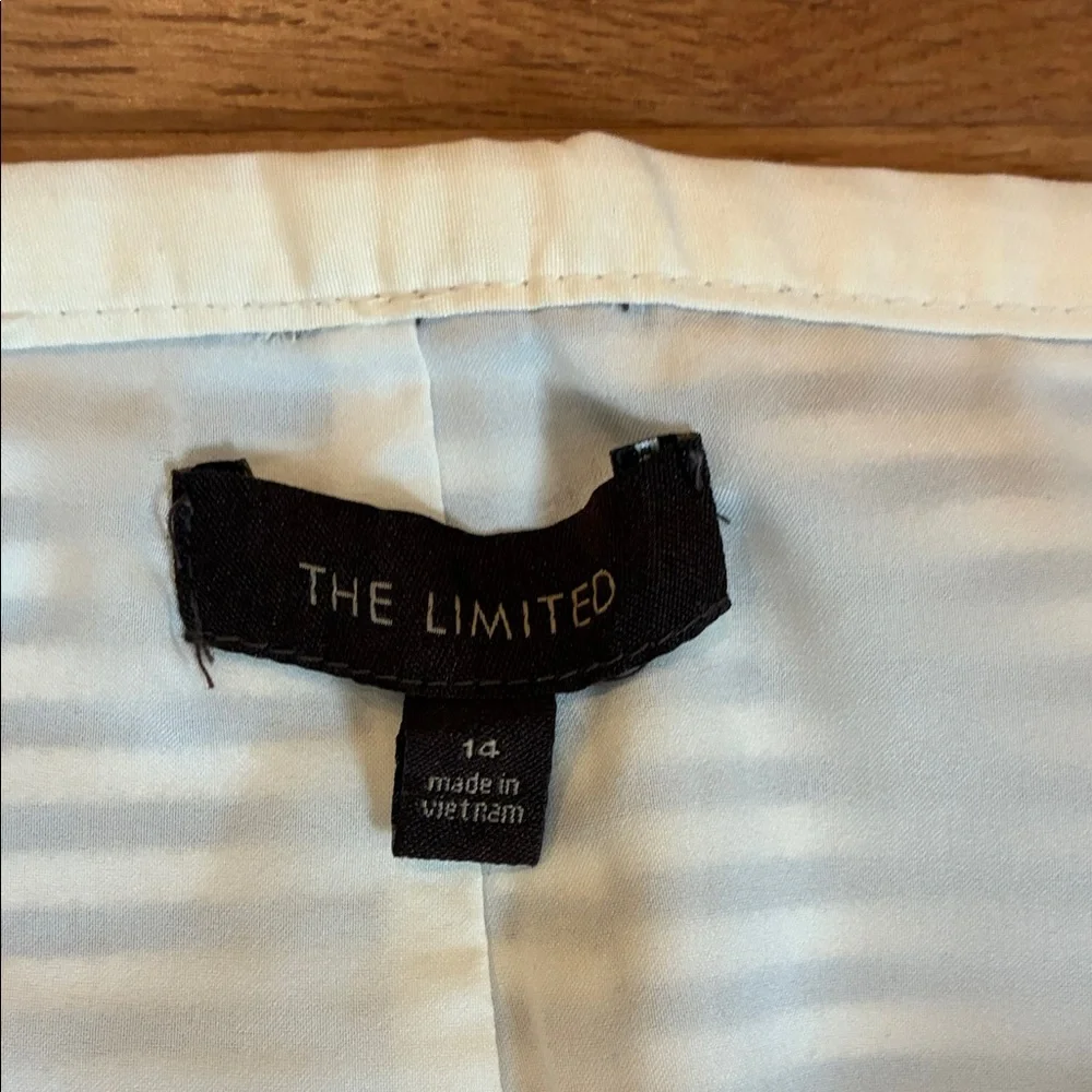 The Limited stylish skirt