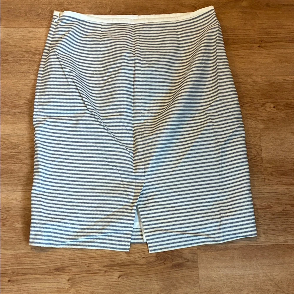 The Limited stylish skirt