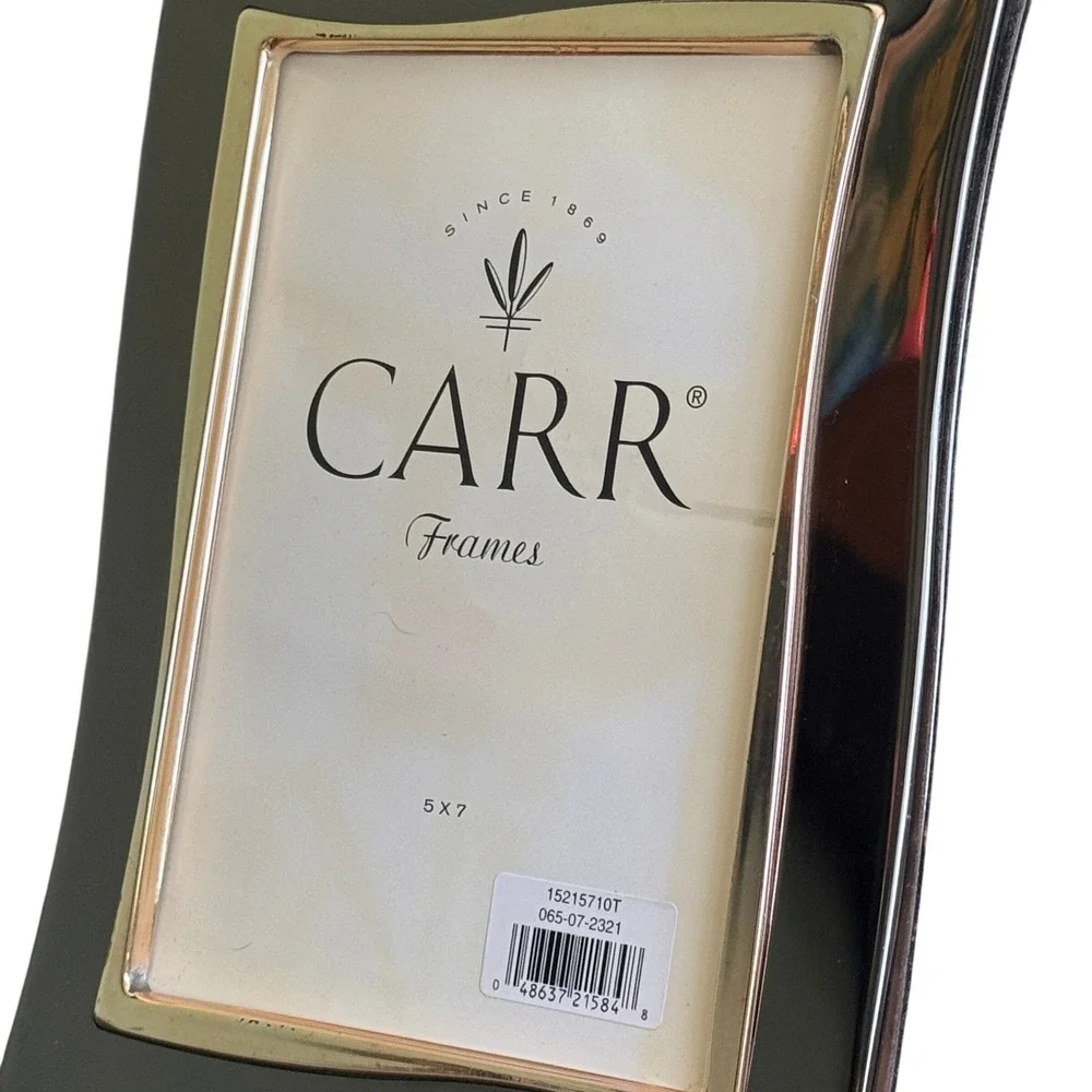 Carr Frames sleek modern