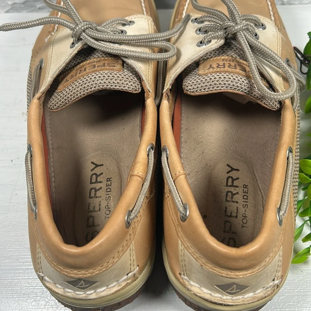 Sperry classic billfish