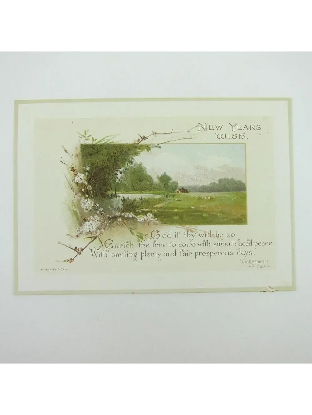 Victorian Greeting Card New Years Wirths Bros & Owen Cabin Field Flowers Antique