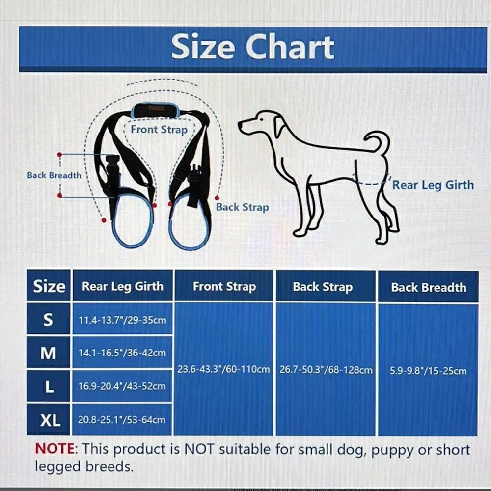 Rozkitch your medium