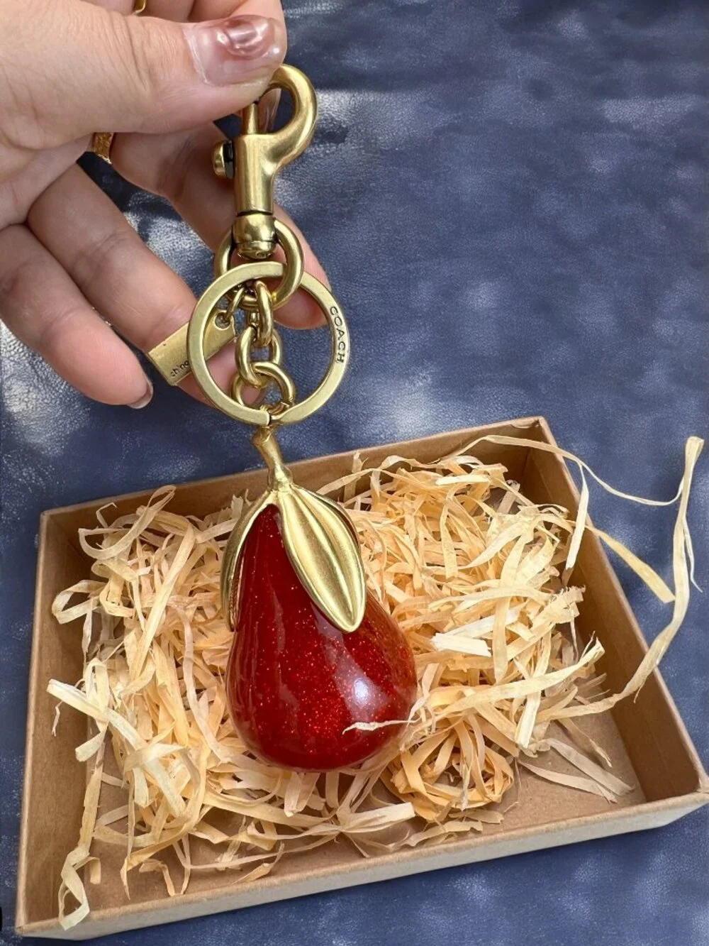 Coach elegant keychain