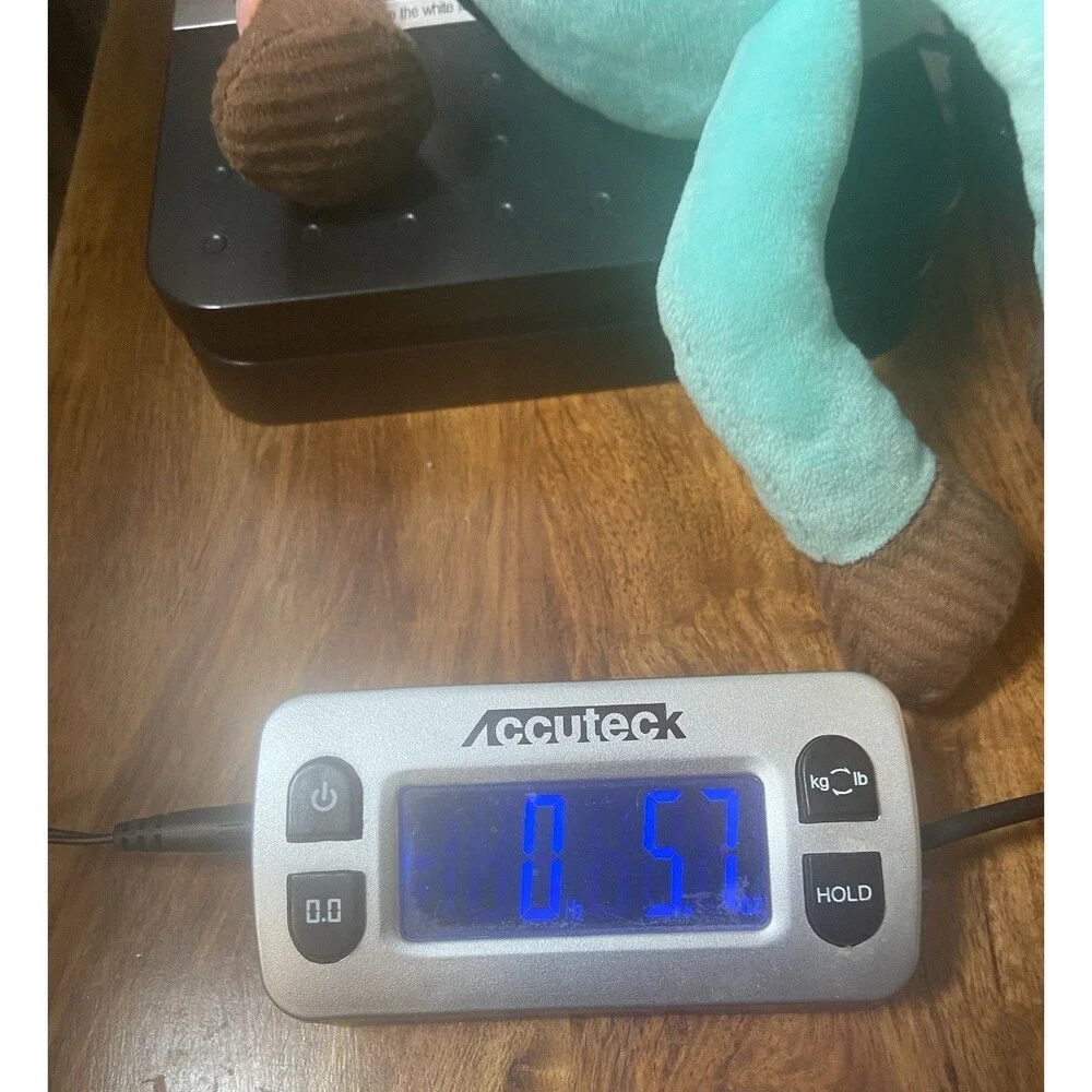 Aurora official dr